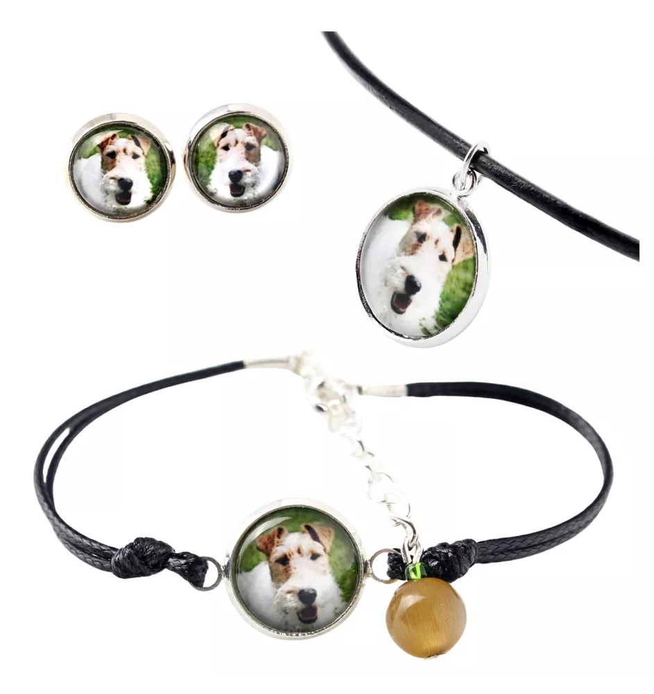 Fox-terrier à poil dur - ensemble de bijoux dans une boîte, collier, boucles d'oreilles, bracelet, produits de la marque Art-Dog