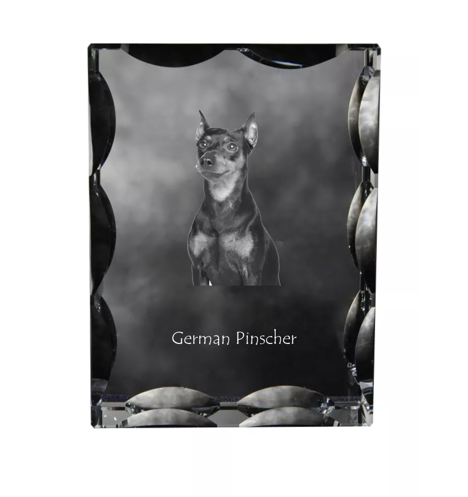 Deutscher Pinscher - Kristall mit einem Hundebild, Glasstatuette mit einem Bild, einzigartiger Bilderrahmen der Marke Art-Dog