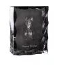 German Pinscher - crystal with a picture of a dog, glass statuette with a picture, unique frame with a picture from Art-Dog brand