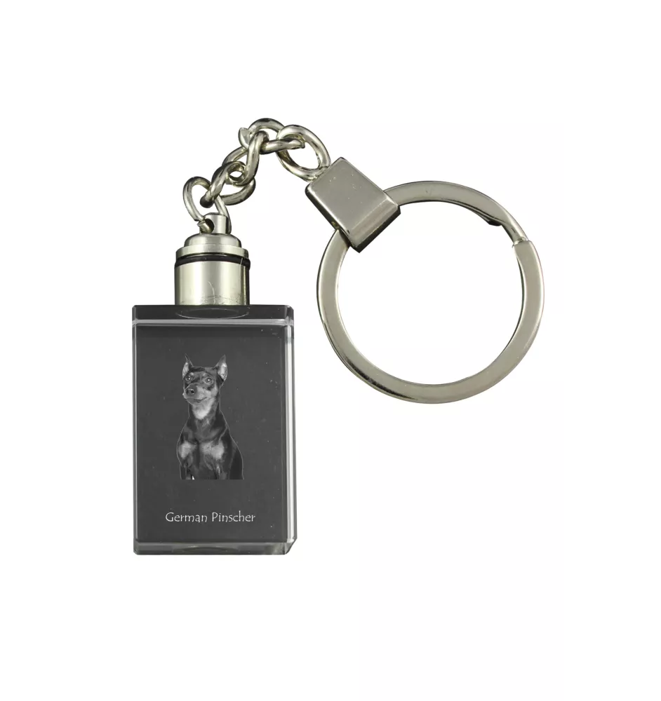 Pinscher allemand - Porte-clés en cristal avec photo de chien, porte-clés lumineux, cadeau unique de la marque Art-Dog