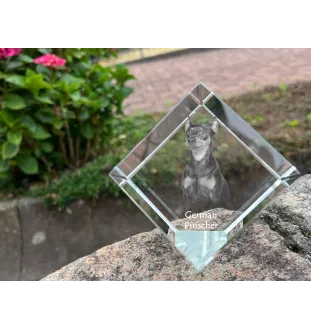 German Pinscher - crystal cube with a photo, photo of a horse in crystal, cubic paperweight from Art-Dog brand