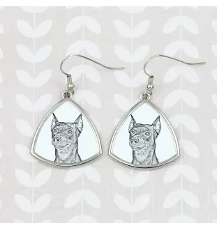 Pinscher allemand - boucles d'oreilles avec chien, boucles d'oreilles pendantes avec photo, bijoux personnalisés avec impression de la marque Art-Dog