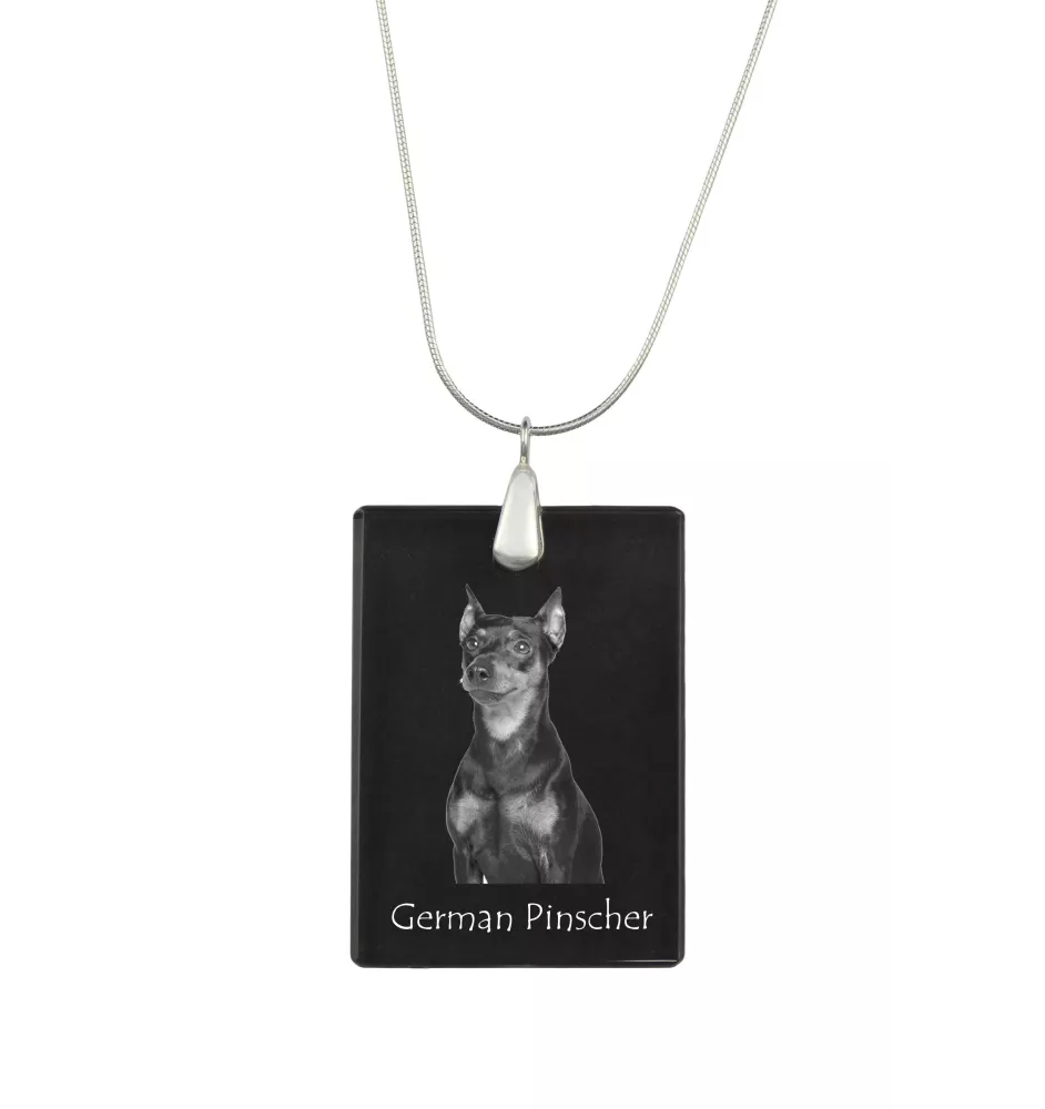 Pinscher allemand - Pendentif en cristal avec chien, collier en argent avec photo, pendentif personnalisé par la marque Art-Dog