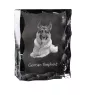 German Shepherd Dog, Alsatian Wolf Dog - crystal with a picture of a dog, glass statuette with a picture, unique frame with a picture from Art-Dog brand