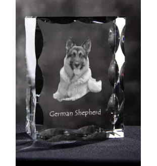 Berger allemand, Berger d'Alsace, Berger alsacien - cristal avec photo de chien, statuette en verre avec photo, cadre exceptionnel avec photo de la marque Art-Dog