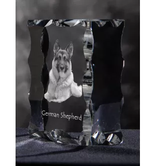 German Shepherd Dog, Alsatian Wolf Dog - crystal with a picture of a dog, glass statuette with a picture, unique frame with a picture from Art-Dog brand