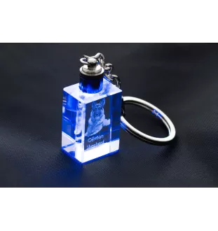 Berger allemand, Berger d'Alsace, Berger alsacien - Porte-clés en cristal avec photo de chien, porte-clés lumineux, cadeau unique de la marque Art-Dog