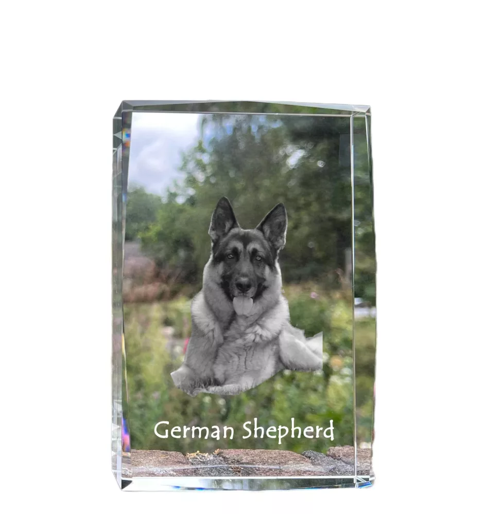 Deutscher Schäferhund - Kristall mit einem Hundebild, Bild im Glas, moderne Ausstellung des Art-Dog-Bildes.