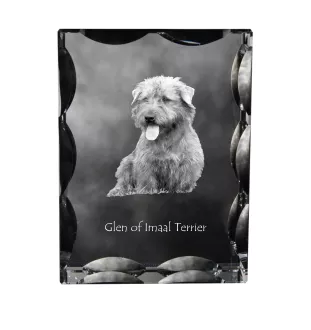 Glen of Imaal Terrier, Irish Glen of Imaal Terrier - crystal with a picture of a dog, glass statuette with a picture, unique frame with a picture from Art-Dog brand