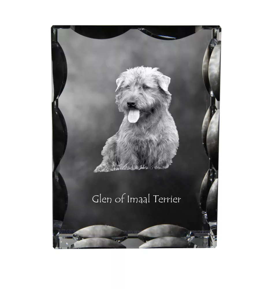 Glen of Imaal Terrier, Irischer Glen of Imaal Terrier - Kristall mit einem Hundebild, Glasstatuette mit einem Bild, einzigartiger Bilderrahmen der Marke Art-Dog