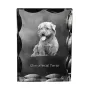 Glen of Imaal Terrier, Irischer Glen of Imaal Terrier - Kristall mit einem Hundebild, Glasstatuette mit einem Bild, einzigartiger Bilderrahmen der Marke Art-Dog