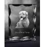 Glen of Imaal Terrier, Irischer Glen of Imaal Terrier - Kristall mit einem Hundebild, Glasstatuette mit einem Bild, einzigartiger Bilderrahmen der Marke Art-Dog