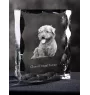 Glen of Imaal Terrier, Irish Glen of Imaal Terrier - crystal with a picture of a dog, glass statuette with a picture, unique frame with a picture from Art-Dog brand