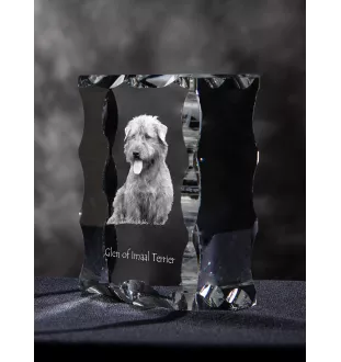 Glen of Imaal Terrier, Irish Glen of Imaal Terrier - crystal with a picture of a dog, glass statuette with a picture, unique frame with a picture from Art-Dog brand
