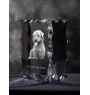 Glen of Imaal Terrier, Irischer Glen of Imaal Terrier - Kristall mit einem Hundebild, Glasstatuette mit einem Bild, einzigartiger Bilderrahmen der Marke Art-Dog