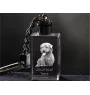 Glen of Imaal Terrier, Irischer Glen of Imaal Terrier - Schlüsselanhänger aus Kristall mit Hundefoto, beleuchteter Schlüsselanhänger, einzigartiges Geschenk der Marke Art-Dog