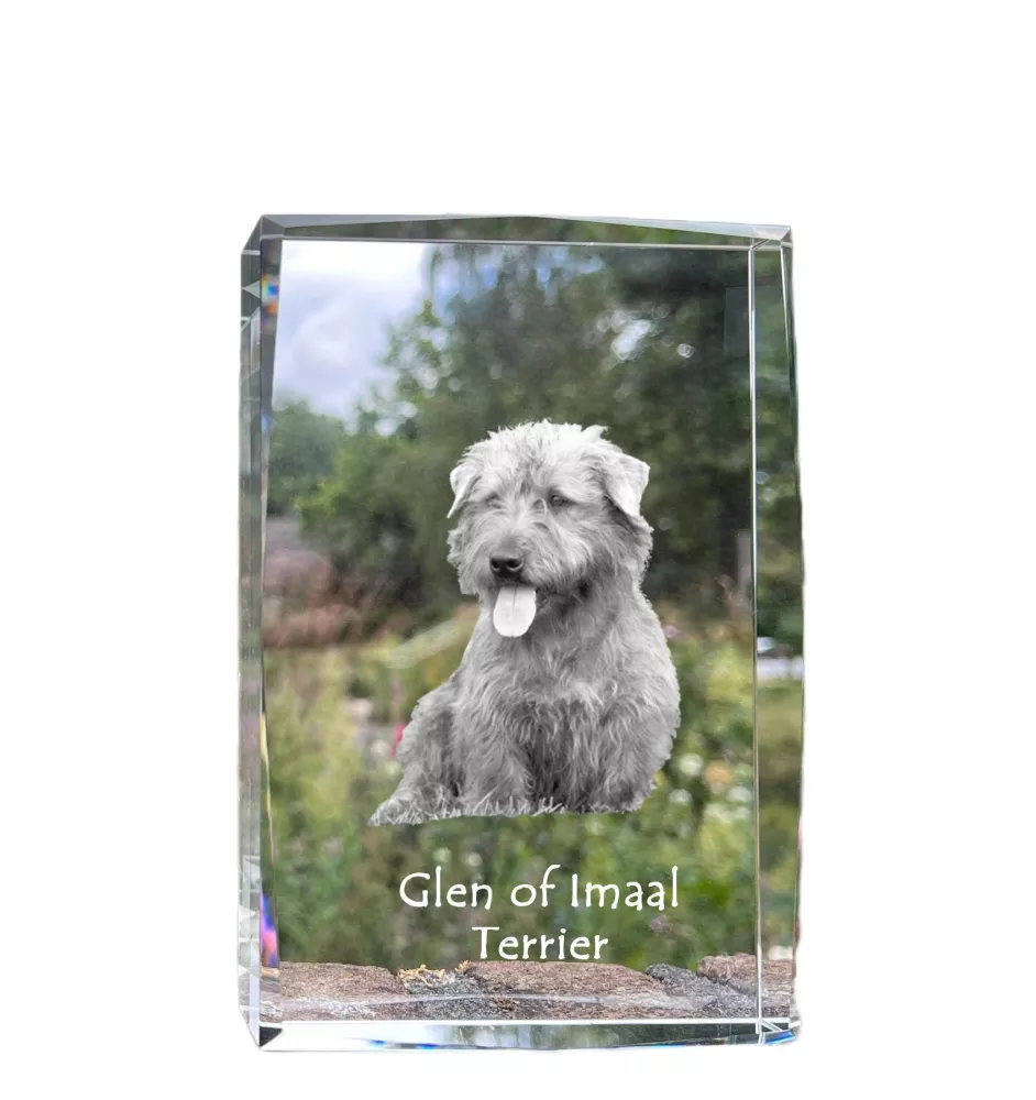Glen of Imaal Terrier, Irish Glen of Imaal Terrier - crystal with a picture of a dog, photo in glass, modern exhibition of Art-Dog brand photo