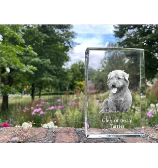 Glen of Imaal Terrier, Irischer Glen of Imaal Terrier - Kristall mit einem Hundebild, Bild im Glas, moderne Ausstellung des Art-Dog-Bildes.