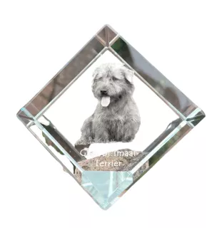 Glen of Imaal Terrier, Irish Glen of Imaal Terrier - crystal cube with a photo, photo of a horse in crystal, cubic paperweight from Art-Dog brand