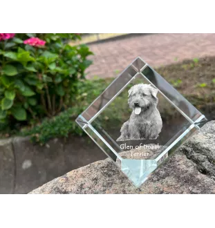 Glen of Imaal Terrier, Irischer Glen of Imaal Terrier - Kristallwürfel mit Bild, Pferdebild im Kristall, sechseckiger Papierclip der Marke Art-Dog