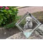 Glen of Imaal Terrier, Irish Glen of Imaal Terrier - crystal cube with a photo, photo of a horse in crystal, cubic paperweight from Art-Dog brand