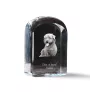 Glen of Imaal Terrier, Irish Glen of Imaal Terrier - crystal cube with a photo, photo of a dog in crystal, cubic paperweight from Art-Dog brand