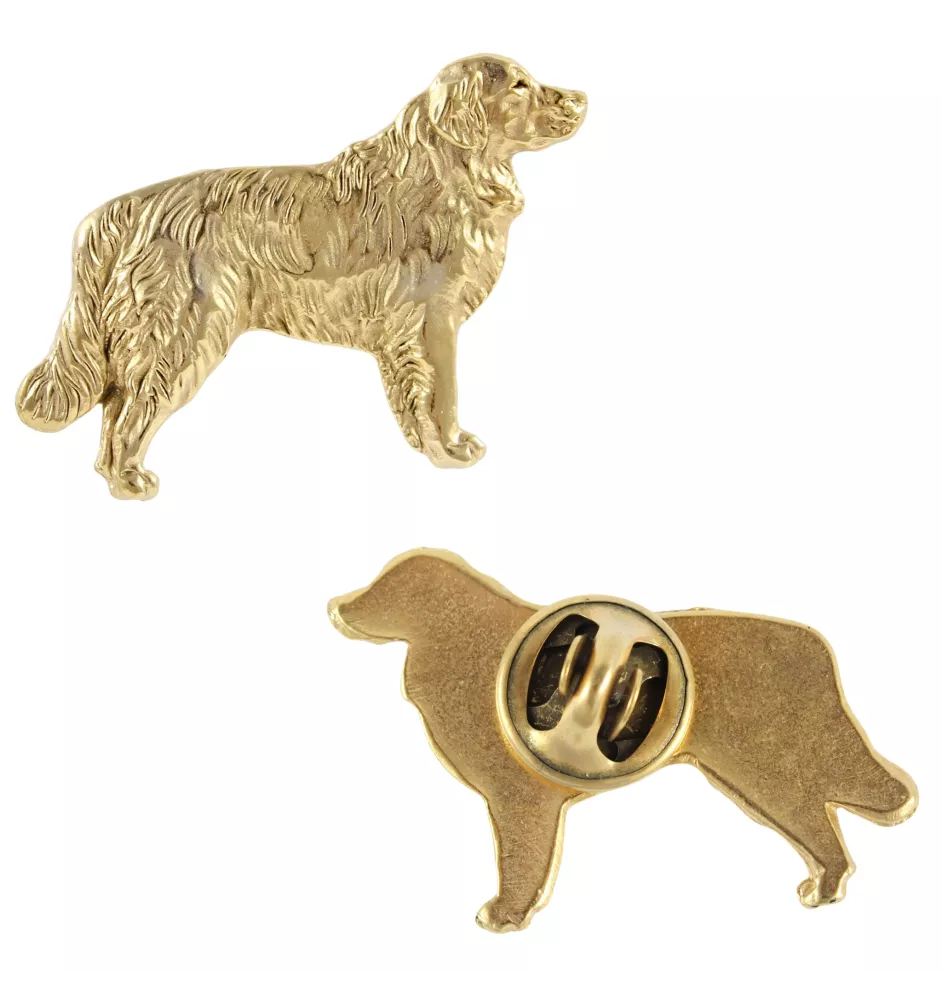 Golden Retriever - Hundebrosche in dekorativer Box, elegante vergoldete Anstecknadel, Jackenbrosche der Marke Art-Dog