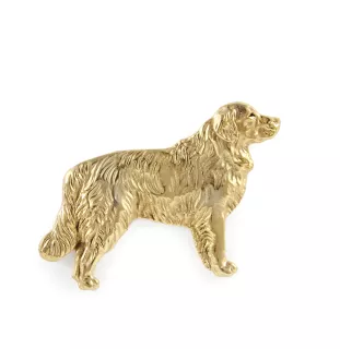 Golden Retriever - Dog brooch in decorative box, elegant gold-plated pin, Art-Dog brand jacket pin