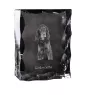 Gordon setter - crystal with a picture of a dog, glass statuette with a picture, unique frame with a picture from Art-Dog brand