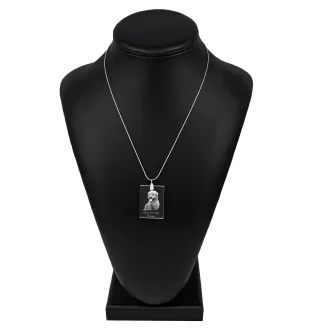 Terrier Irlandais Glen Of Imaal, Glen of Imaal Terrier - Pendentif en cristal avec chien, collier en argent avec photo, pendentif personnalisé par la marque Art-Dog