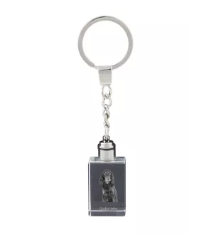 Setter Gordon  - Porte-clés en cristal avec photo de chien, porte-clés lumineux, cadeau unique de la marque Art-Dog