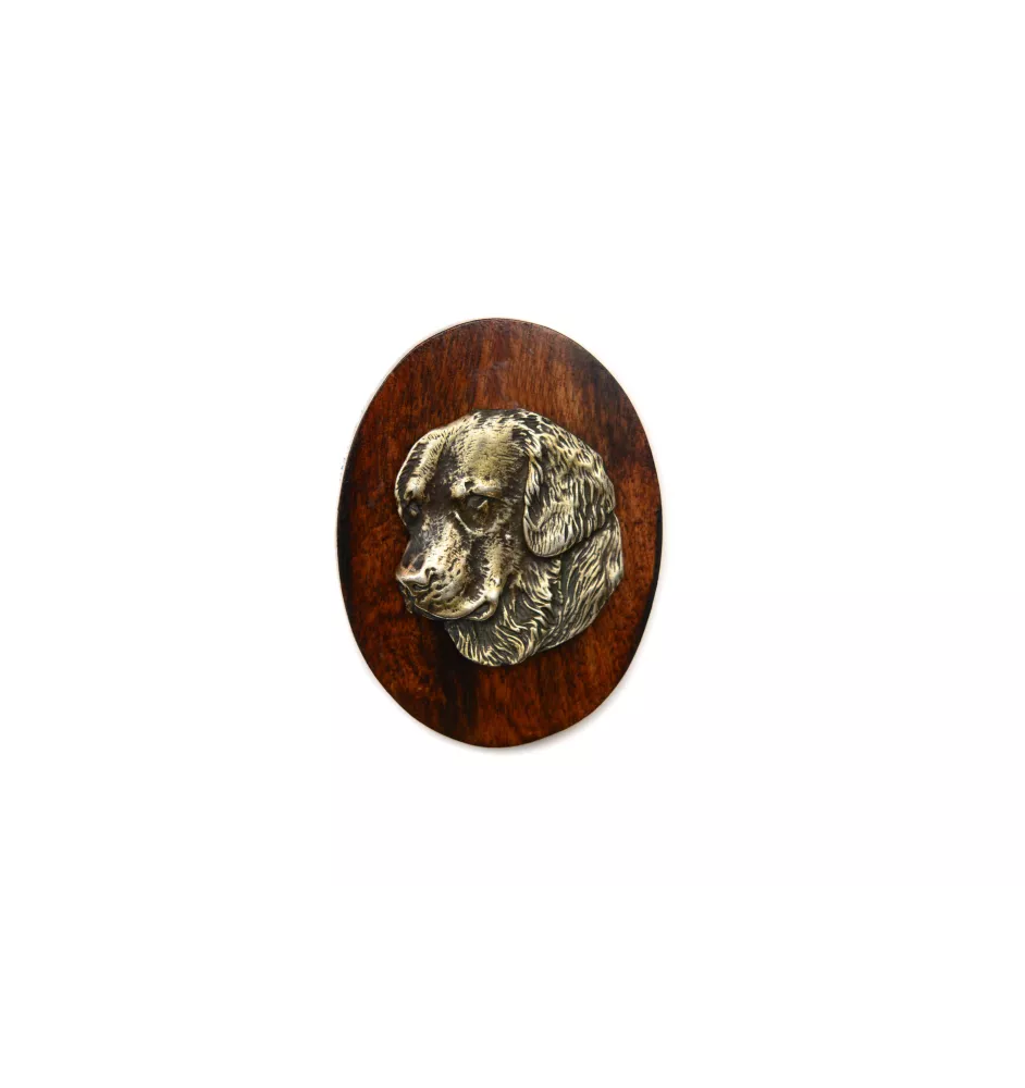 Golden Retriever - Hundeausstellungsbrosche, Startnummernclip, Hundeanstecker von Art-Dog