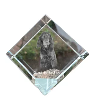 Gordon Setter, Schottischer Setter - Kristallwürfel mit Bild, Pferdebild im Kristall, sechseckiger Papierclip der Marke Art-Dog