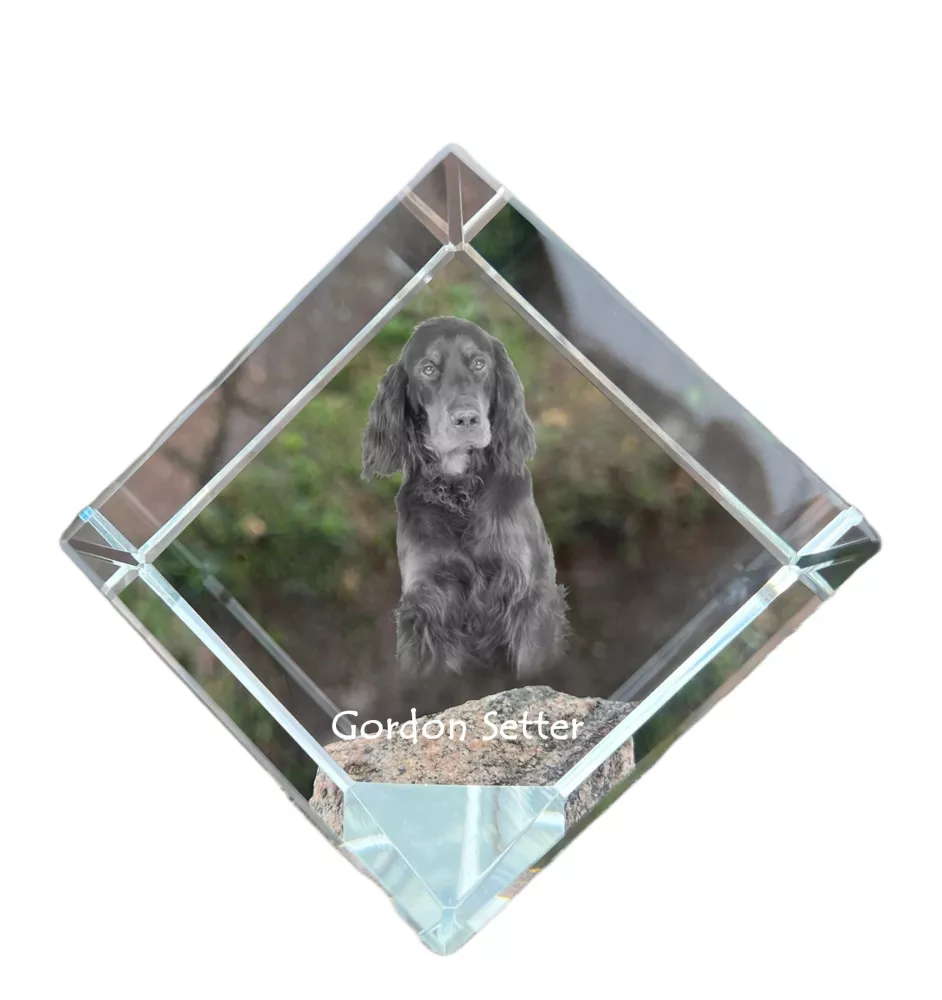 Gordon Setter, Schottischer Setter - Kristallwürfel mit Bild, Pferdebild im Kristall, sechseckiger Papierclip der Marke Art-Dog