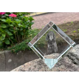 Setter Gordon  - un cube de cristal avec une photo, une photo de cheval dans le cristal, un presse-papiers cubique de la marque Art-Dog