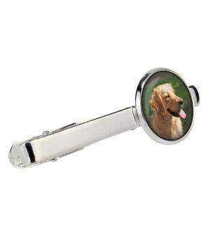 Golden Retriever zestaw spinek w pudełku ze zdjęciem Art-Dog