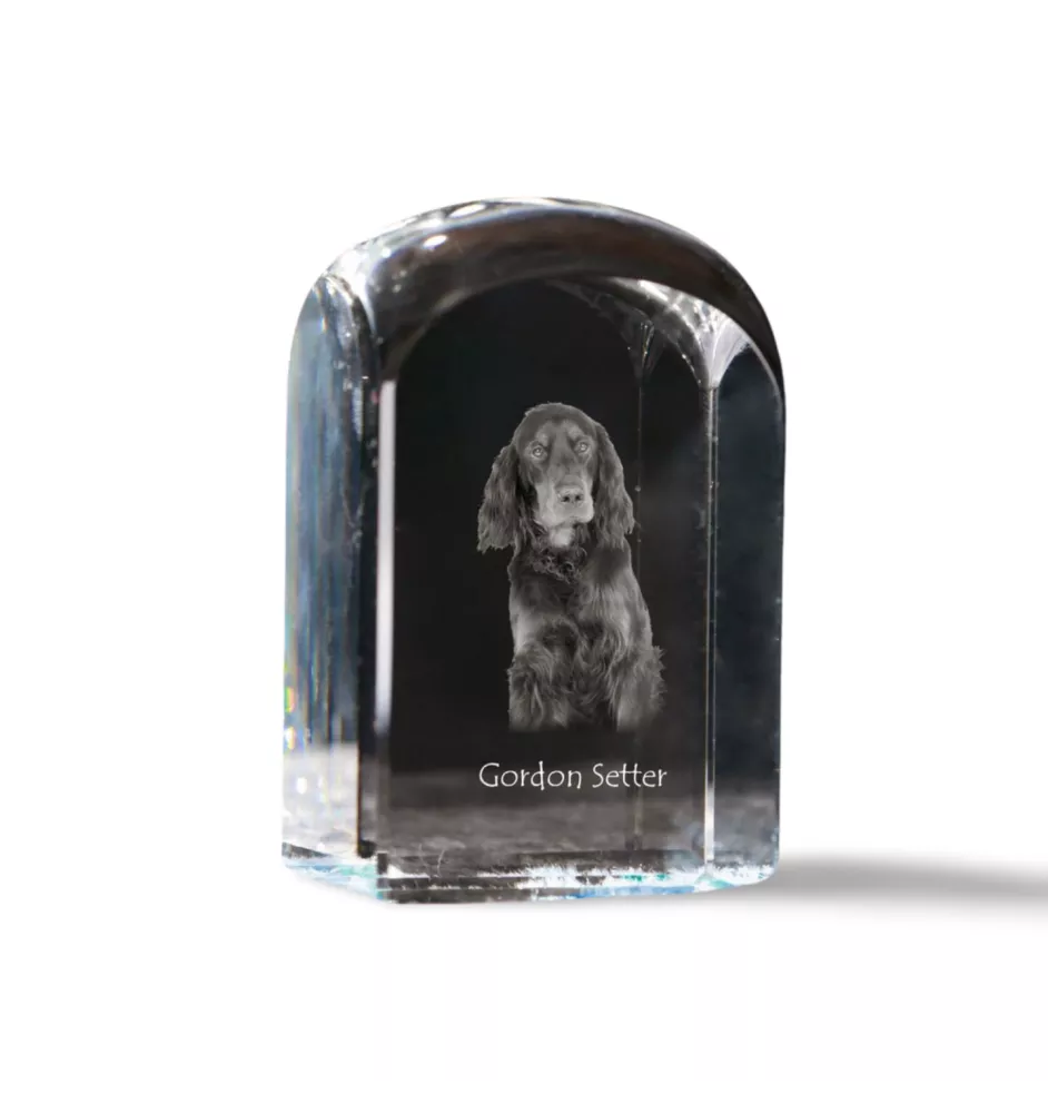 Gordon setter - crystal cube with a photo, photo of a dog in crystal, cubic paperweight from Art-Dog brand