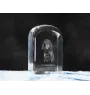 Gordon setter - crystal cube with a photo, photo of a dog in crystal, cubic paperweight from Art-Dog brand