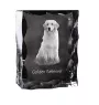 Golden Retriever - crystal with a picture of a dog, glass statuette with a picture, unique frame with a picture from Art-Dog brand