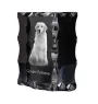 Golden Retriever - crystal with a picture of a dog, glass statuette with a picture, unique frame with a picture from Art-Dog brand