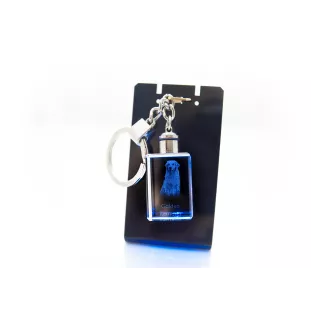 Golden Retriever - Porte-clés en cristal avec photo de chien, porte-clés lumineux, cadeau unique de la marque Art-Dog