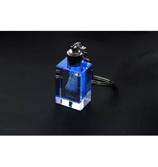 Golden Retriever - Porte-clés en cristal avec photo de chien, porte-clés lumineux, cadeau unique de la marque Art-Dog