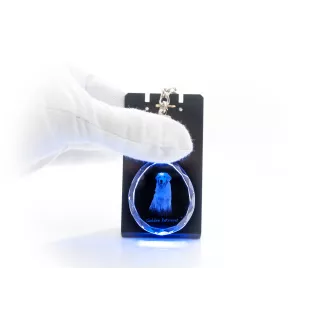 Golden Retriever - Anhänger mit einem Foto eines Hundes, Schlüsselanhänger aus Kristall in einer Geschenkbox, ein einzigartiges Geschenk von Art-Dog