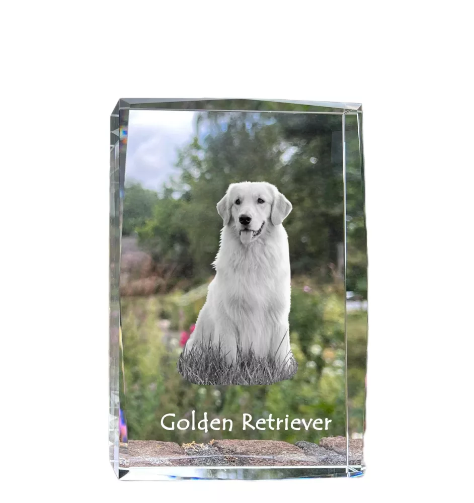 Golden Retriever - cristal avec une photo de chien, photo sous verre, exposition moderne de la marque de photos Art-Dog