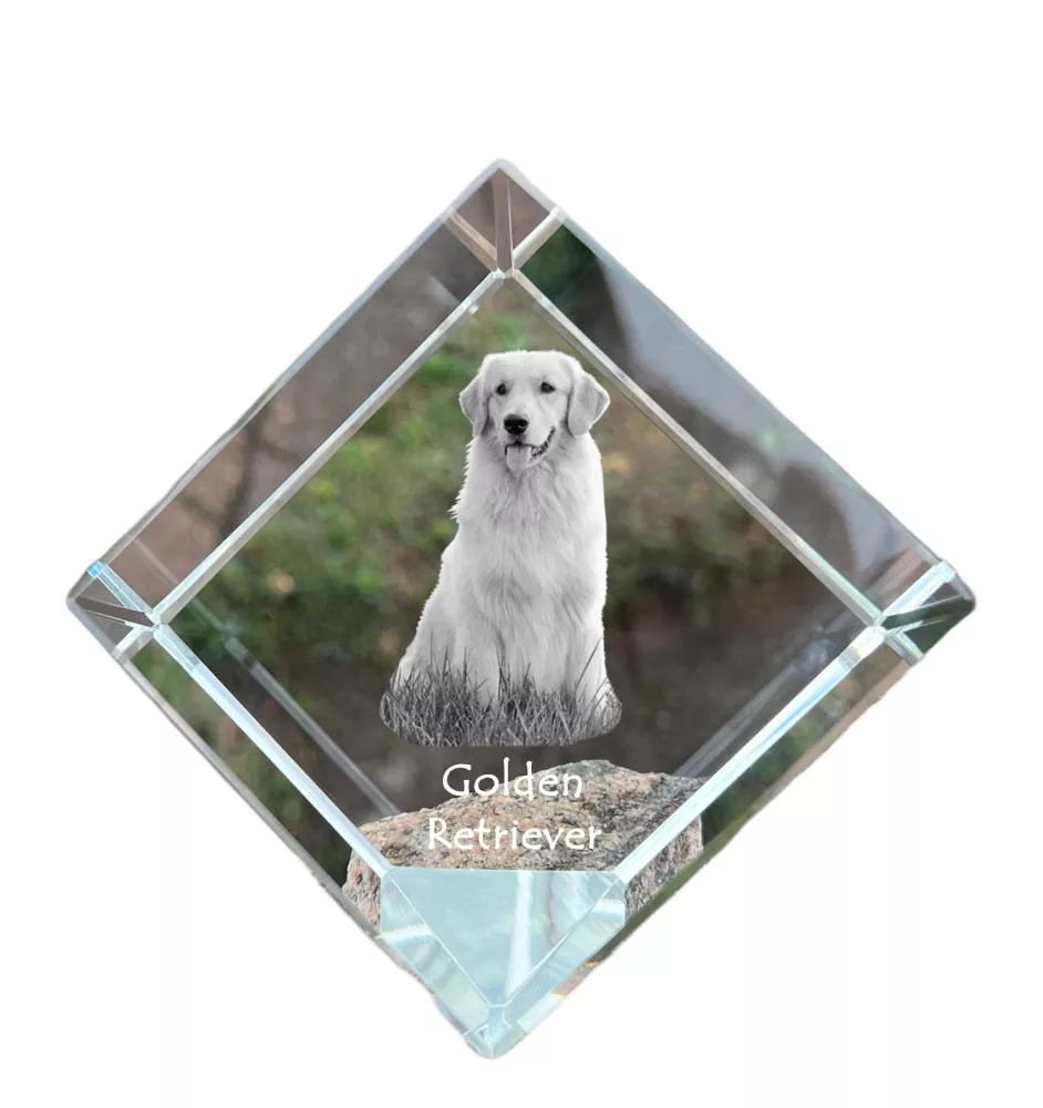 Golden Retriever - un cube de cristal avec une photo, une photo de cheval dans le cristal, un presse-papiers cubique de la marque Art-Dog