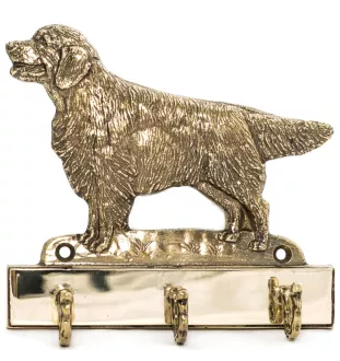 Golden Retriever - key holder with a dog, brass handle for dog accessories, an elegant decoration for the hallway from the Art-Dog brand.