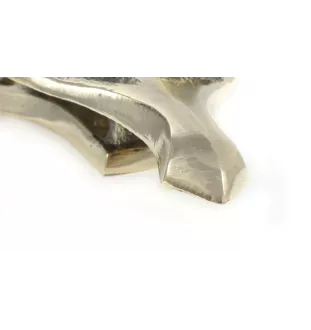 Golden Retriever - door knocker in the shape of a dog's head, brass knocker, retro door decoration by Art-Dog brand