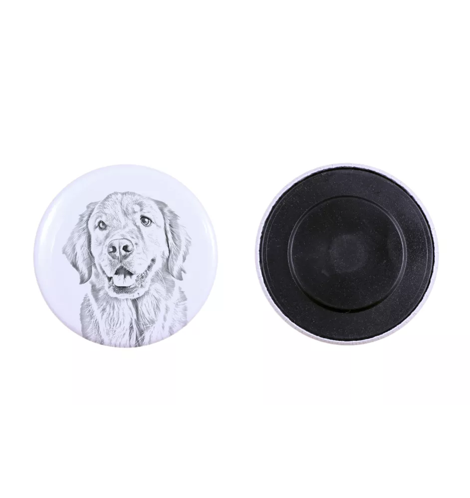 Golden Retriever - aimant avec un œil de chien, exceptionnellement léger, aimant puissant, produit fabriqué à la main par la marque Art-Dog
