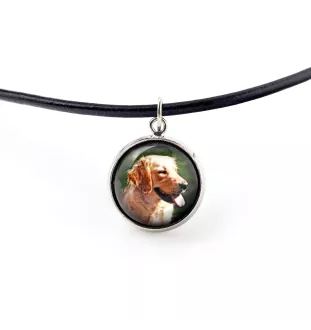 Golden Retriever - jewelry with your photo box, set of necklace and earrings, personalized products from the Art-Dog brand