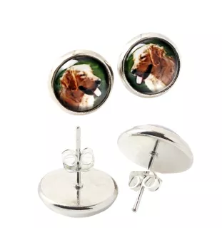 Golden Retriever kolczyki w pudełku ze zdjęciem Art-Dog